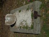 image of grave number 968591
